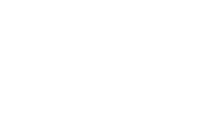 Damel Group